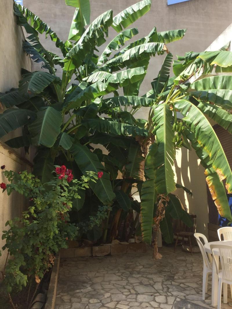 U' Iazzu Bed & Breakfast Avola Exterior foto