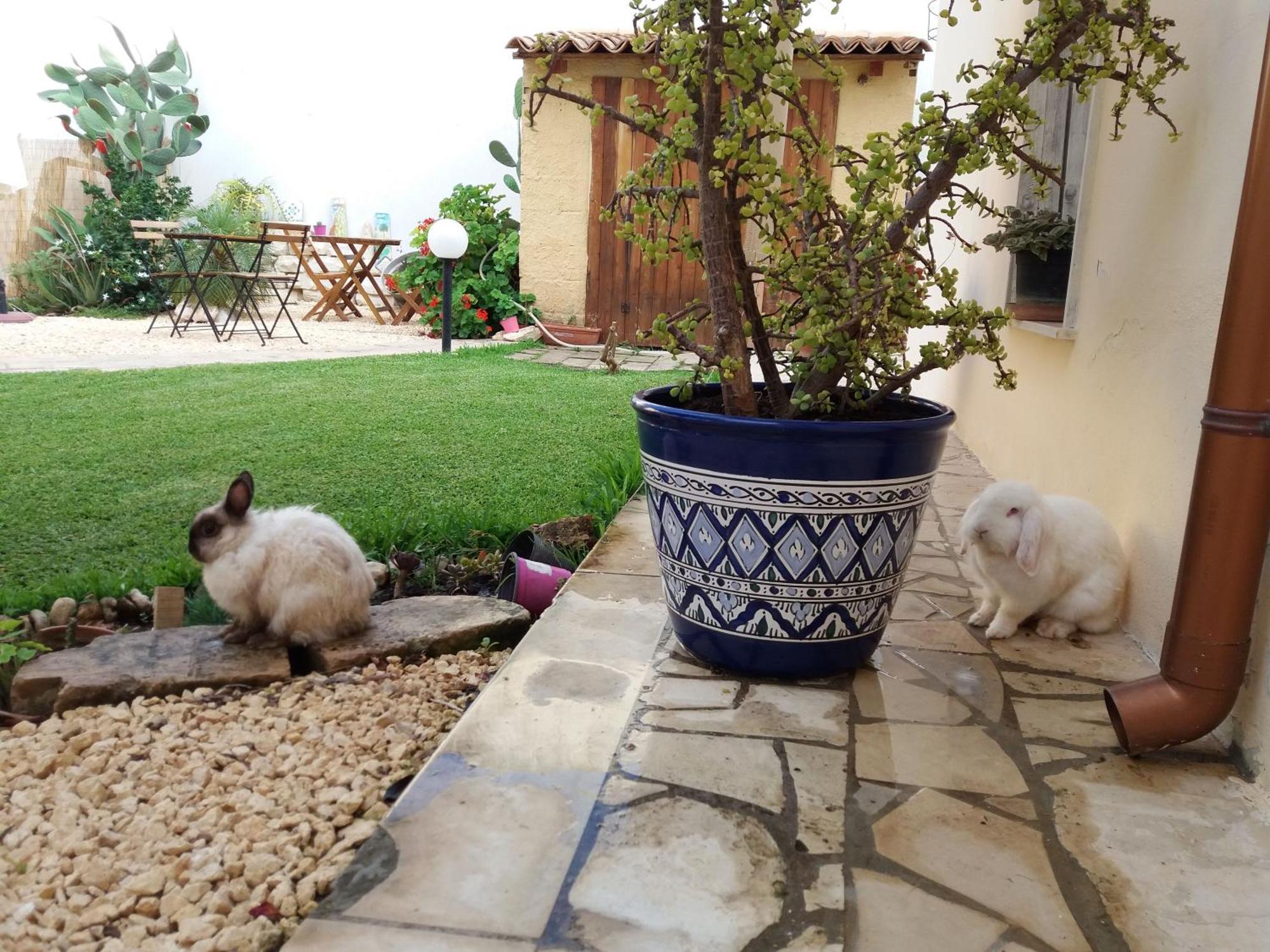 U' Iazzu Bed & Breakfast Avola Exterior foto